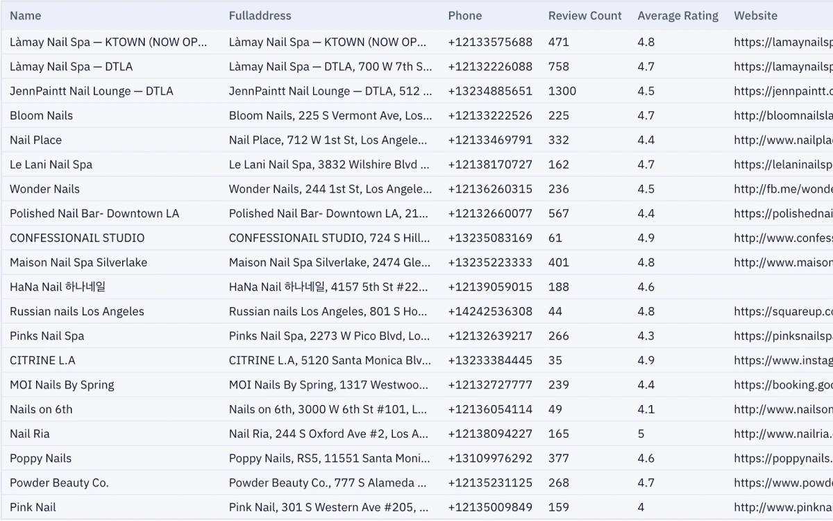 Online extractor results table with business name, phone, and website columns